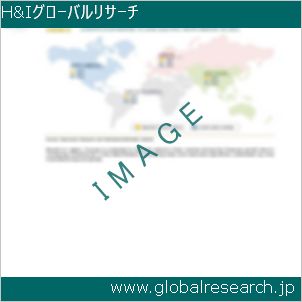 グローバルリサーチ調査レポートのイメージ